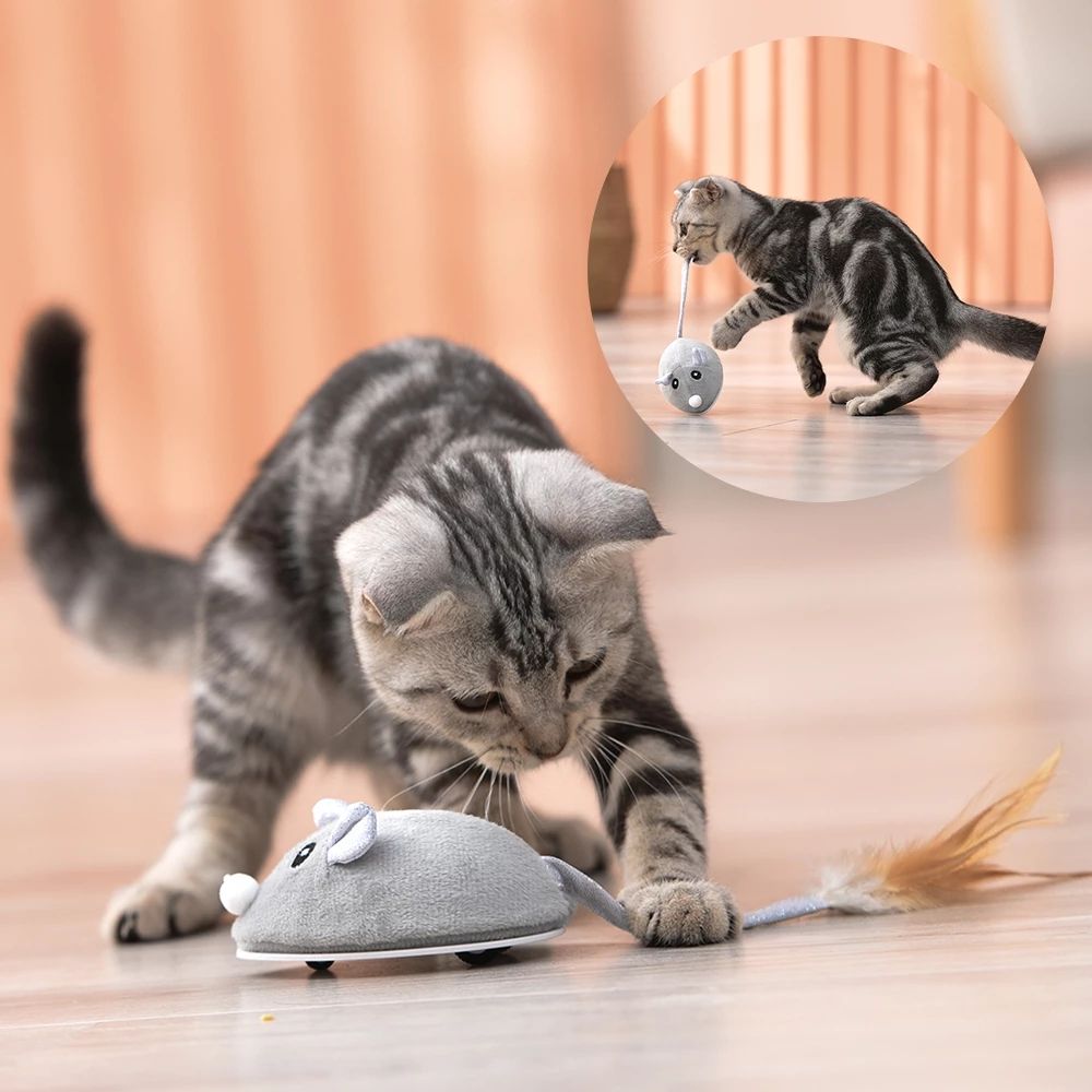 Electronic mouse for cat — interactive USB toy