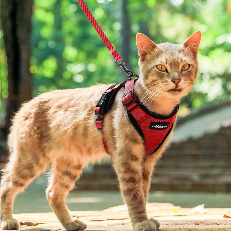 Cat Harness - Reflective, Adjustable, Anti-Escape