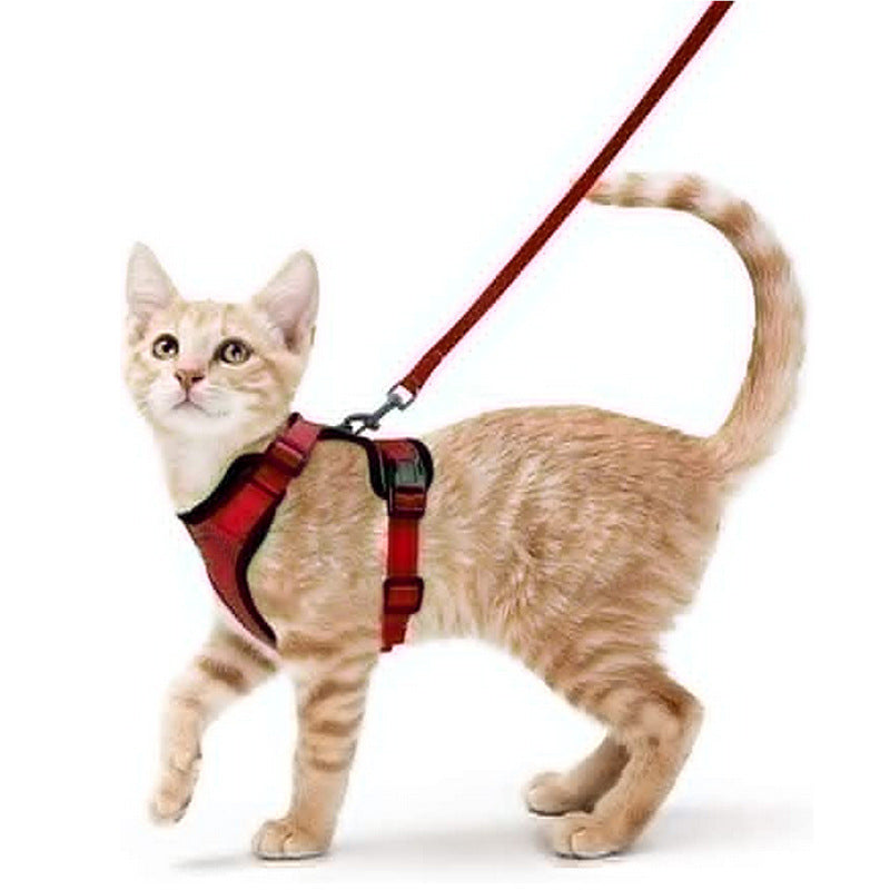 Cat Harness - Reflective, Adjustable, Anti-Escape